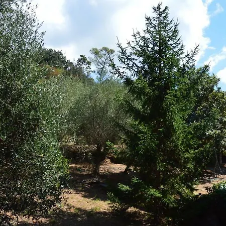 Casa Bolasco 公寓